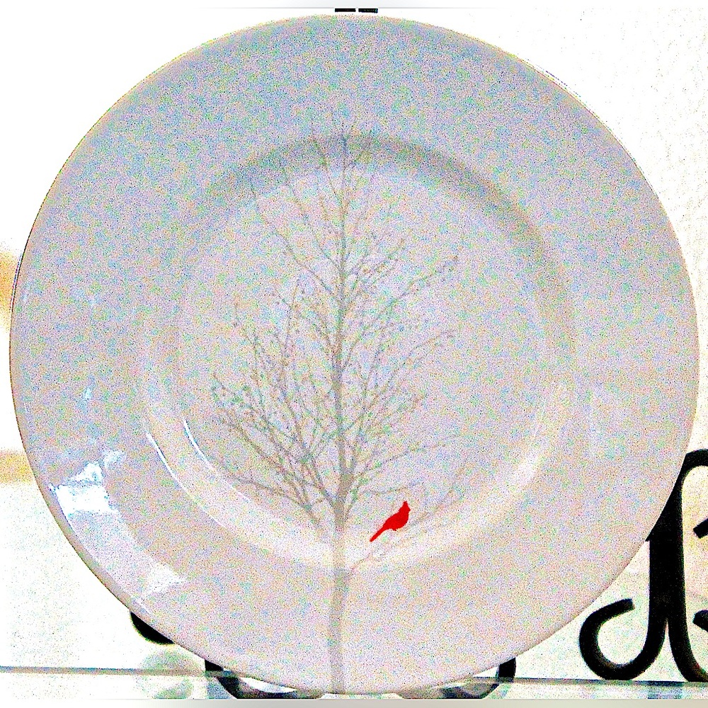 222 FIFTH WINTER CARDINAL SALAD PLATE WHITE RED NEW ROUND